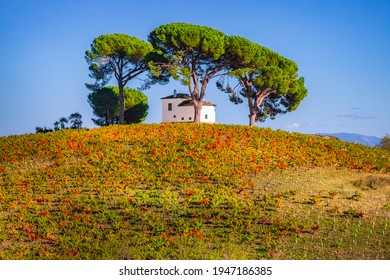 Picturesque idyllic villa house set on Bierzo hilltop vineyard landscape spanish countryside on the Way of St James Pilgrimage Trail Camino de Santiago