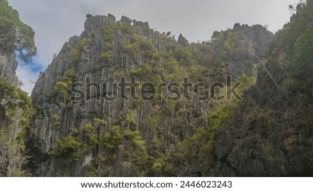 Picturesque karst limestone cliffs against the sky and clouds. There is green tropical vegetation on the steep furrowed slopes. Philippines. Palawan Island