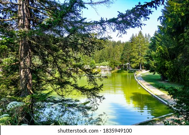 Picturesque Lake Bloke in the summer, Nova Vas, Slovenia.  - Shutterstock ID 1835949100