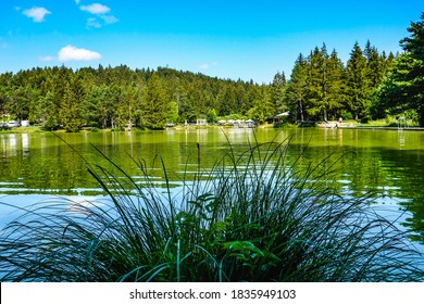 Picturesque Lake Bloke in the summer, Nova Vas, Slovenia.  - Shutterstock ID 1835949103