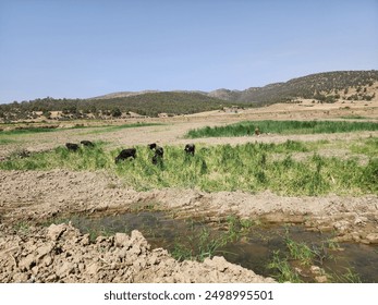 A picturesque landscape featuring mountains, a desert, and a lone tree with a blend of wildlife including wildebeest, zebras, and horses in a savannah setting - Powered by Shutterstock