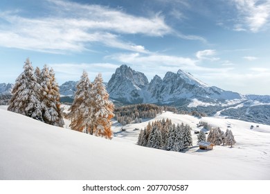 Picturesque landscape with small wooden house, cottage or log cabins on meadow Alpe di Siusi, Seiser Alm, Dolomites, Italy. Snowy hills with orange larch and Sassolungo and Langkofel mountains group - Powered by Shutterstock