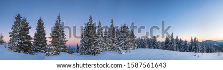Picturesque landscape of a snowy forest growing in the hills among the snowdrifts pink-purple sunset in a frosty winter evening. Place for advertising
