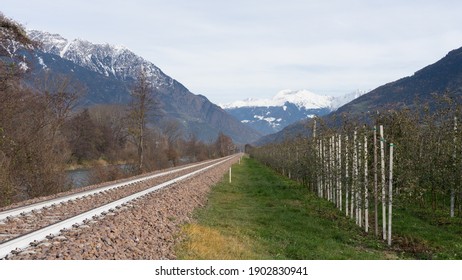 Picturesque Landscape In South Tirol In Autumn, In The Fore A Tree At The Railway, In The Background The Snow-covered Mountains, Blue Sky With Clouds, No People