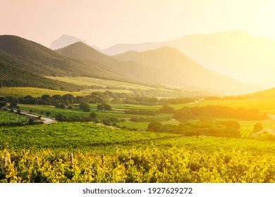 Picturesque landscape with vineyards on the background of the high mountains.