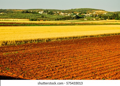 Picturesque Landscape In The Western Part Of Syria Before Civil War Started