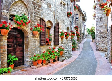 Picturesque lane with flowers in an Italian hill town                       