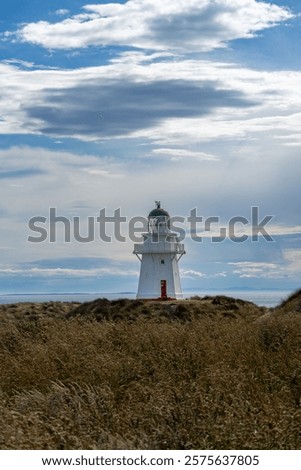 Similar – Image, Stock Photo Serene coastal grasses at sunset in Miami, Florida