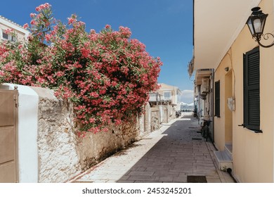 A picturesque Mediterranean alley adorned with bright red flowers and traditional houses with green shutters, capturing the essence of a serene summer day. - Powered by Shutterstock