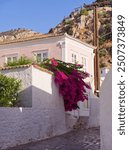 Picturesque mediterranean house with bougainvillea in sunny day, streets of Hydra, Saronic Gulf, Aegean Sea, Greece 