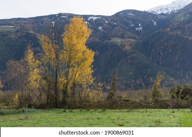 Picturesque Mountain Landscape In Naturns In South Tirol In Autumn, In The Background The Snow-covered Mountains, Blue Sky With Clouds, No People