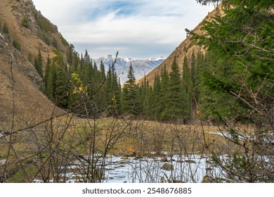 A picturesque mountain valley framed by snow-capped peaks in the distance, dense pine forests, and rocky slopes. The foreground showcases a mix of vegetation and traces of melting snow.

 - Powered by Shutterstock