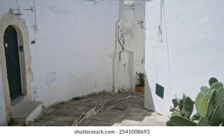 A picturesque narrow alley in ostuni, puglia, italy, with whitewashed walls, a green door, stone pavement, cactus, and a potted plant, illustrating traditional southern european architecture. - Powered by Shutterstock