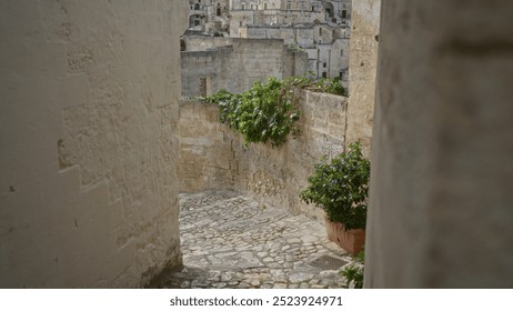 A picturesque narrow stone alley with potted plants and ancient architecture in matera, basilicata, italy, on a tranquil day. - Powered by Shutterstock