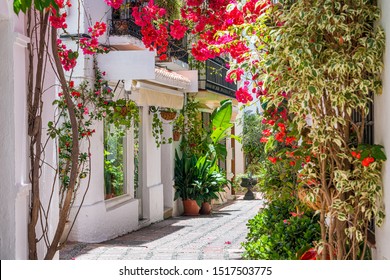 A picturesque and narrow street in Marbella old town, province of Malaga, Spain. - Powered by Shutterstock