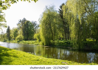 Picturesque nature in spring on a sunny day. Green young grass. Juicy leaves trees maples, willowes, acacias, firs reflected in the blue water of the river. Panoramic beautiful scenery in park.