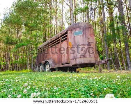 An picturesque old brown rusted metal horse trailer that was forgotten about and left sitting in a grassy clearing in a thick dark green pine tree forest but left still intact.