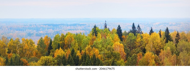 Picturesque panoramic aerial view of the colorful autumn forest. Golden, red, orange, yellow, green leaves. Spruce, pine, birch, maple trees. Dramatic sunset sky. Nature, ecology, environment, tourism