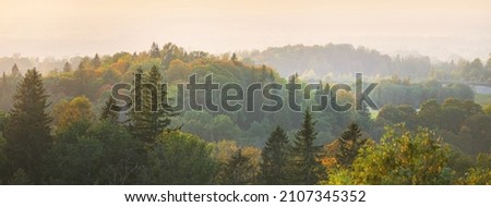 Picturesque panoramic aerial view of the colorful golden, green and yellow trees in the forest at sunset. Clear sky, warm sunlight. Early autumn. Seasons, travel destinations, ecology, pure nature