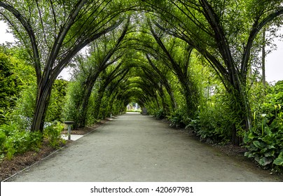 Picturesque Pass With Green Trees, Ideal Symmetry