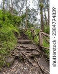 Picturesque paths in the forests of Ecuador on the outskirts of the city of Otavalo. Bridge over the river.