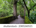 Picturesque paths in the forests of Ecuador on the outskirts of the city of Otavalo. Bridge over the river.