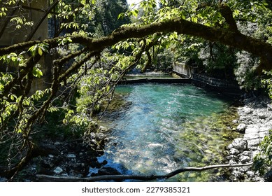A picturesque river near Lake Ritsa. Abkhazia 2019 - Shutterstock ID 2279385321