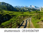 Picturesque rocky landscape of National Park in Picos de Europa mountain range on sunny summer day, Asturias, Spain..