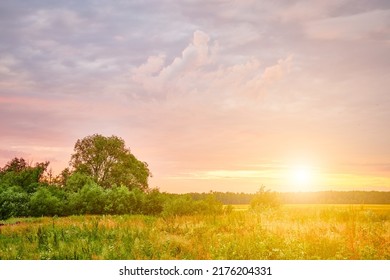 Picturesque rural areas. Dark cloudy sky is highlighted by setting sun. Green summer nature.