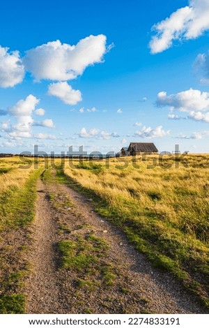 A picturesque rural scene in Sweden, featuring a blue sky and horizon over a rolling hill of grassland, with an old barn nestled among the plants.
