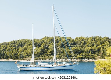 Un pintoresco yate de vela está anclado pacíficamente cerca de una exuberante costa verde, creando una vista serena
