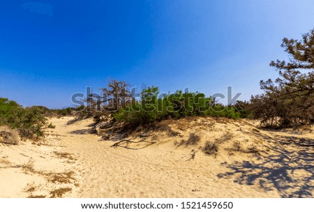 Similar – Strand an der polnischen Ostseeküste