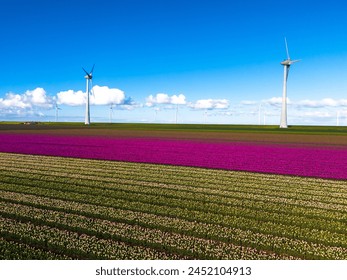 A picturesque scene of a vast field adorned with colorful flowers, with majestic windmills spinning in the distance, set against a clear blue sky in the Noordoostpolder Netherlands - Powered by Shutterstock