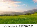 Picturesque scenery of summer green hills under a gorgeous sunset sky with clouds. Wildflowers on a green grass meadow. Carpathian mountains. Ukraine.