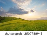 Picturesque scenery of summer green hills under a gorgeous sunset sky with clouds. Wildflowers on a green grass meadow. Carpathian mountains. Ukraine.