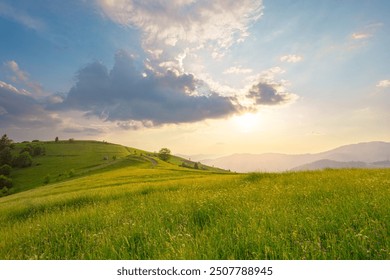 Picturesque scenery of summer green hills under a gorgeous sunset sky with clouds. Wildflowers on a green grass meadow. Carpathian mountains. Ukraine. - Powered by Shutterstock