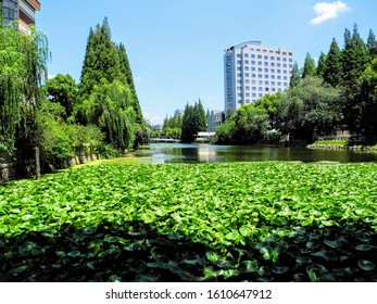 A Picturesque Scenic View Of The Liwa River Running Through East China Normal University On A Gorgeous Sunny Day In Shanghai.                               