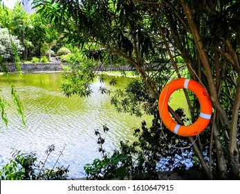 A Picturesque Scenic View Of The Liwa River Running Through East China Normal University On A Gorgeous Sunny Day In Shanghai.                               