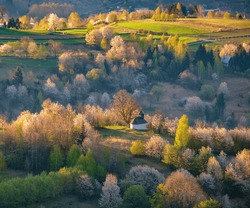 Picturesque Spring Blooming Landscape. Rising Sun And Flowering Trees In The Background With A Small Chapel.Fields And Ecological Management In The Distinctive Village Of Hrinova, Slovakia. 