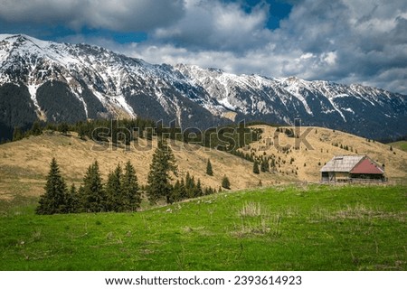 Picturesque spring rural landscape with rickety wooden hut and high snowy Piatra Craiului mountains, Pestera village, Transylvania, Romania, Europe