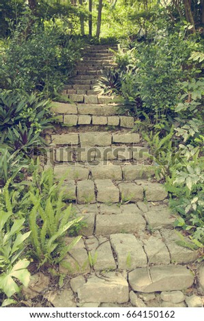 Similar – stairs with moss in the middle of a dark forest