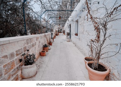 A picturesque stone-paved alley adorned with terracotta potted plants under a trellis with soft lighting, evoking tranquility and rustic charm. - Powered by Shutterstock