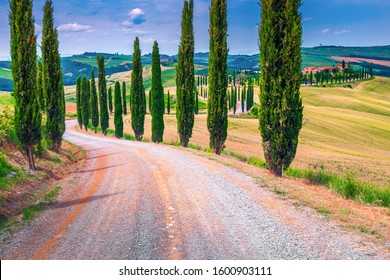 Picturesque summer landscape in Tuscany. Spectacular ripe grain fields and winding rural road with cypresses near Siena, Tuscany, Italy, Europe