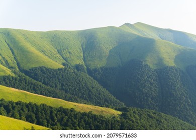 Picturesque sunset in the mountains. The slopes of the mountains are overgrown with green grass and coniferous forest. Beautiful landscape with hills and valleys. landscape mountainous area green slop - Shutterstock ID 2079571633
