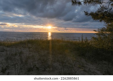 Picturesque sunset on the coast of the Gulf of Finland in Ust-Narva. Gray threatening clouds and a bright streak of light along the horizon. Sandy beach with grass and pine branches in the foreground - Shutterstock ID 2262885861
