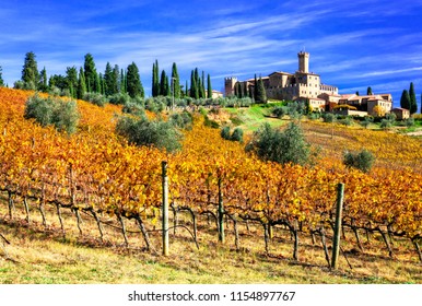 Picturesque  Tuscany - Vineywrds And Castles. Castello Banfi - Il Borgo.  Italy