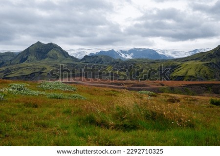 The picturesque valley in a famous Laugavegur hiking trail. Icelandic landscape of volcanic rhyolite mountains in cloudy weather with heather blooming and grassland. Iceland in august. Iceland