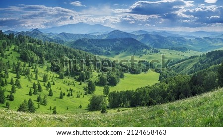 Picturesque valley, mountain view. Bright sunlight, spring greens of forests and meadows.