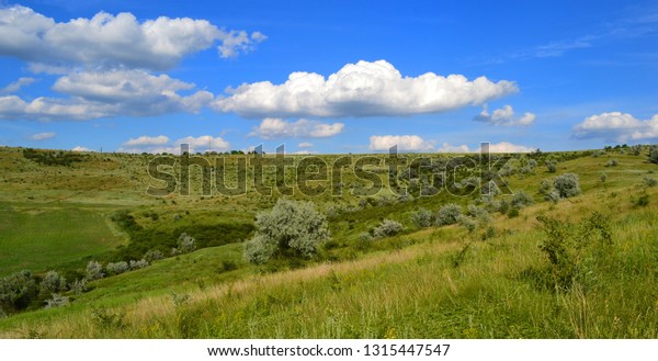 picturesque valley\
with ravines wild shrubs and tall grasses divides the horizon with\
a blue sky and\
clouds