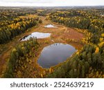 Picturesque view of autumn forest and swamps from a bird